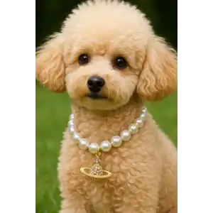 Altın Renk Gezegen Figürlü İnci Detaylı L Beden Kedi Köpek Tasma