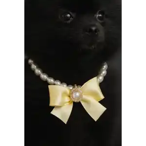 Altın Renk Kurdele Figürlü İnci Detaylı M Beden Kedi Köpek Tasma