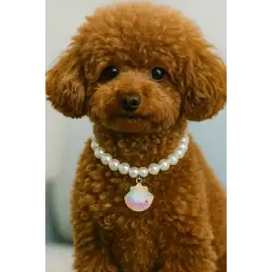 Beyaz Renk İstidirye Figürlü İnci Detaylı L Beden Kedi Köpek Tasma