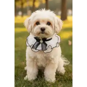 Beyaz Renk Kurdele Figürlü Tül Detaylı Ayarlanabilir  Kedi/ Köpek Tasması