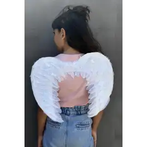 Beyaz Renk Melek Kanadı