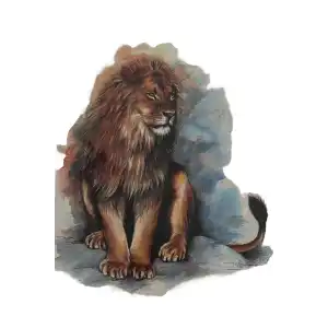 Geçici Kaplan Figürlü Dövme Tattoo