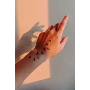 Geçici Karışık Kuş Mini Dövme Tattoo