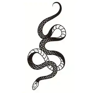 Geçici Yılan Figürlü Mini Dövme Tattoo