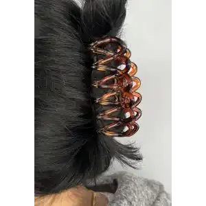 Kahverengi Mandal Toka