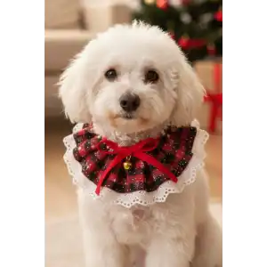 Kırmızı Renk Potikare Ayarlanabilir Desenli Zilli Kedi/ Köpek Tasması