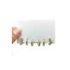 Altın Renk Taş Detaylı 6lı Küpe Set