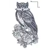 Baykuş Figürlü 12 Saat Sonra Kararan Geçici Mini Dövme Tattoo
