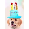 Mavi Renk Mum Figürlü Happy Birthday Yazılı Kedi Köpek Şapkası