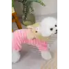 Pembe Renk Ayıcık Figürlü Peluş XL Köpek Tulum