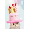 Pembe Renk Mum Figürlü Happy Birthday Yazılı Kedi Köpek Şapkası