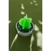 Yeşil Renk Kaktüs Figürlü Mum