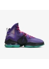 Nike Lebron 19 Purple/Teal