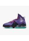 Nike Lebron 19 Purple/Teal