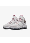Nike LeBron 19 Sketch