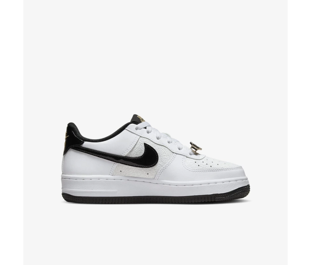 Nike Air Force 1 Low “World Champions”