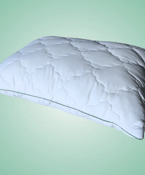 PREMIUM ALOE VERA OREILLER