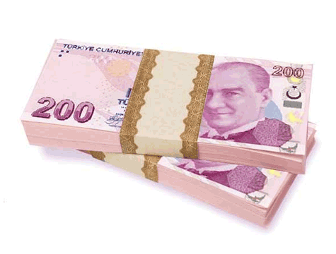 Şaka Parası - 100 Adet 200 TL (599)