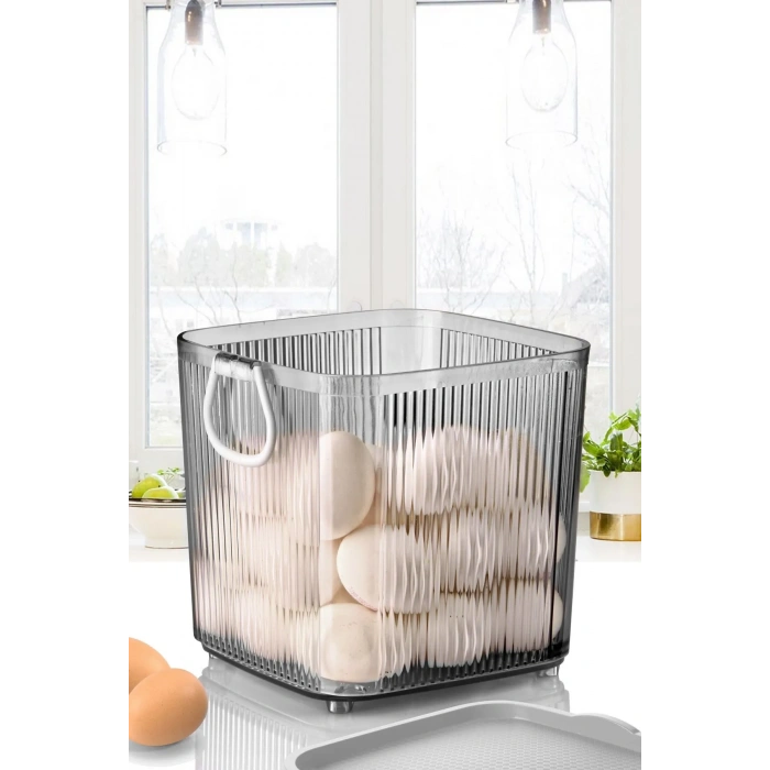 4Lt Akrilik Erzak Saklama&Organizeremn3099 (599)