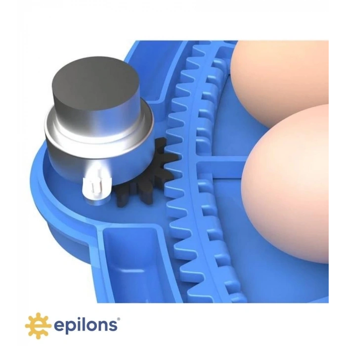 80 Ve 240 Kapasiteli Fonksiyonel Tam Otomatik Kuluçka Papağan Mini Kuş Tavuk Kaz Ördek Uyumlu