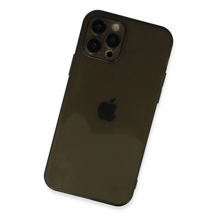Apple İphone 12 Pro Max Kılıf Fly Lens Silikon - Siyah