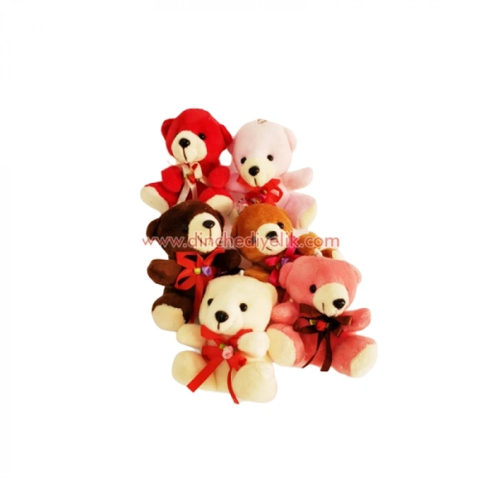 Ayıcık Anahtarlik (599)