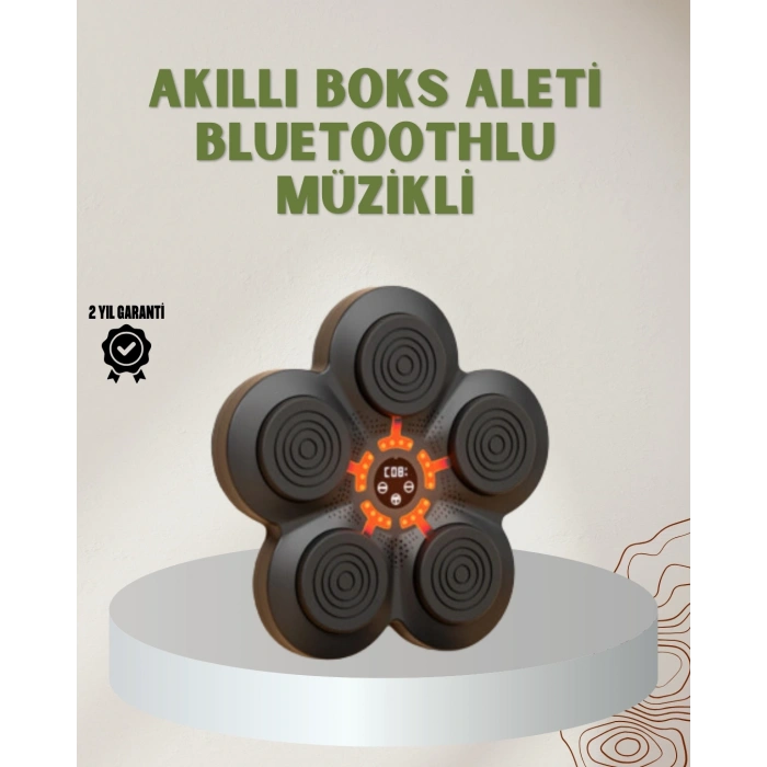 Bluetoothlu Akıllı Boks Antrenman Cihazı Işıklı Hedefli Kardiyo Ve Fitness Aleti