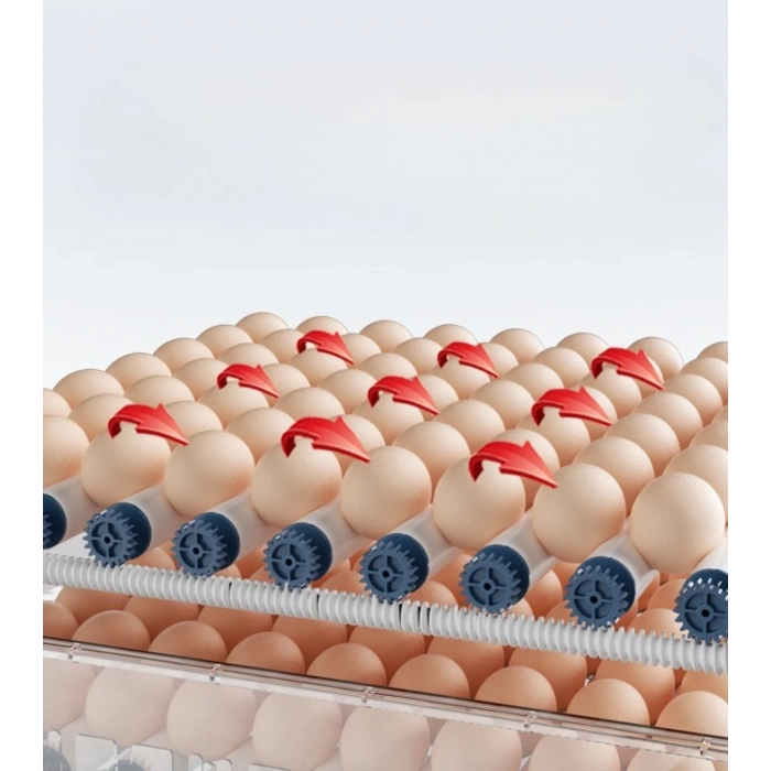 60 Yumurta Kapasiteli Tam Otomatik Kuluçka Makinesi - Civciv, Kaz, Hindi Ve Ördek Yetiştiriciliği Epo-w60