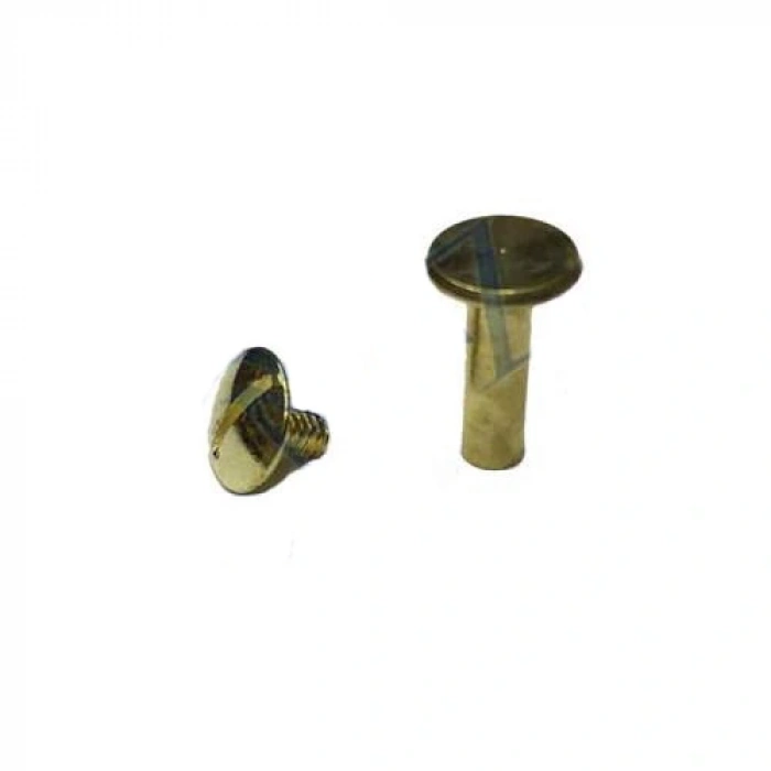 Byhodi Cilt Menü, Katalog, Kartela Vidası, 20 mm - Sarı, 100 Adet (599599)