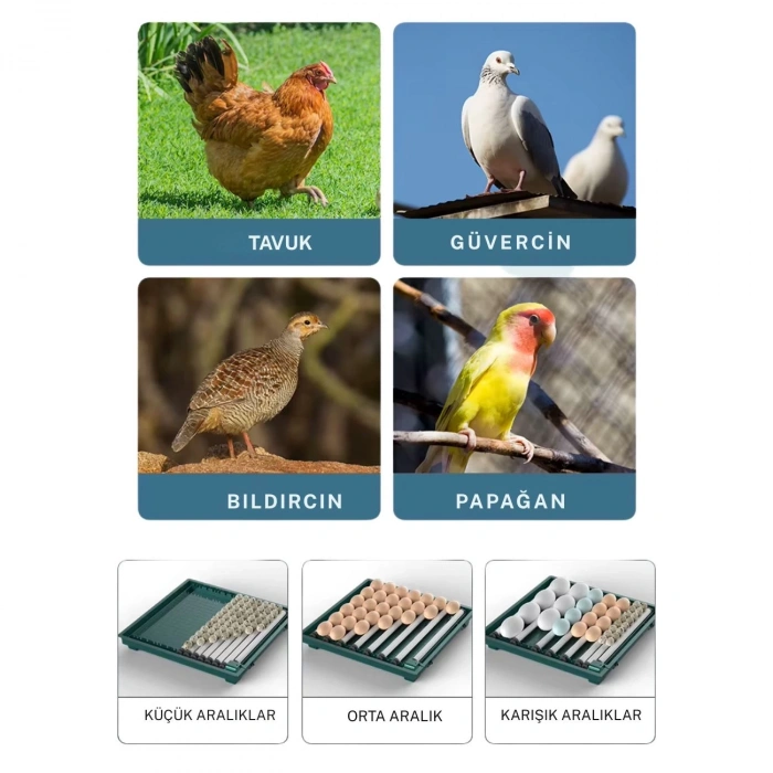 Slim Yeni Model 130’lu Gün Sayaçlı Otomatik Kuluçka Makinesi – Tavuk Kaz Ördek Kuş Yumurtası Uyumlu