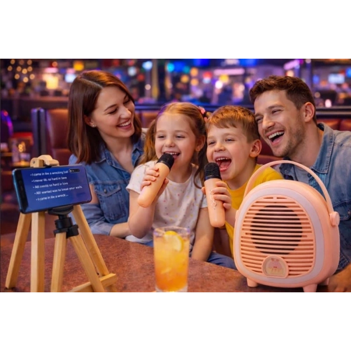 Çocuklara Özel Retro Tasarımlı Bluetooth Karaoke Mikrofon Ve Ahşap Tripodlu – Pembe