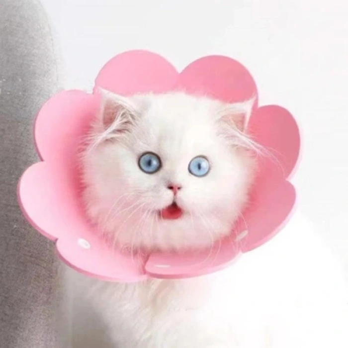 Evcil Hayvan Xl Boy Keçe Elizabeth Yakalığı