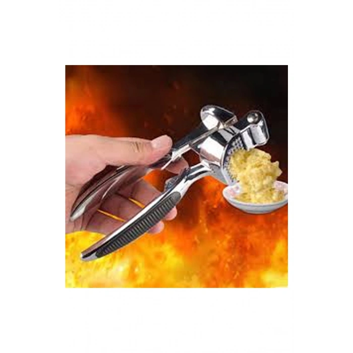 Lüks Metal Sarımsak Zencefil Ezici (599)