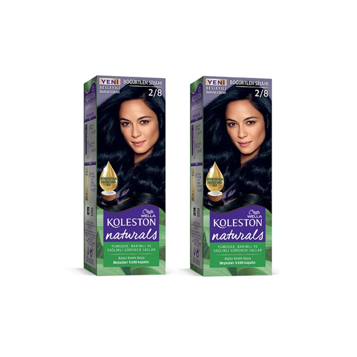 Naturals Saç Boyası Böğürtlen Siyahı 2/8 2X Paket (599)