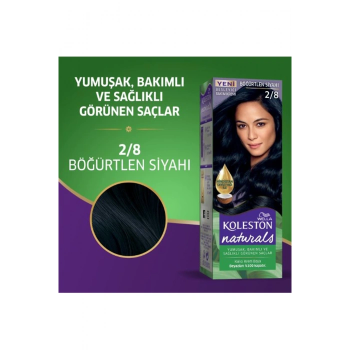 Naturals Saç Boyası Böğürtlen Siyahı 2/8 2X Paket (599)