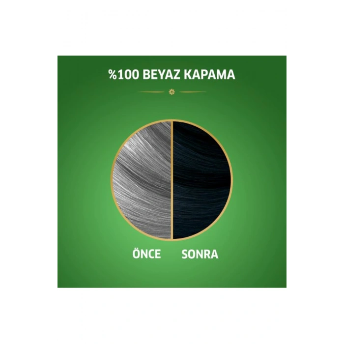 Naturals Saç Boyası Böğürtlen Siyahı 2/8 2X Paket (599)