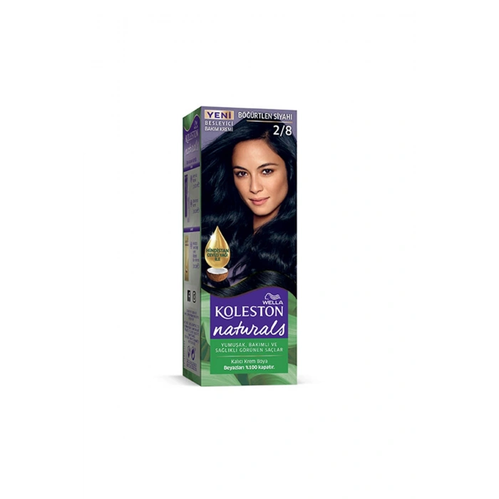 Naturals Saç Boyası Böğürtlen Siyahı 2/8 (599)