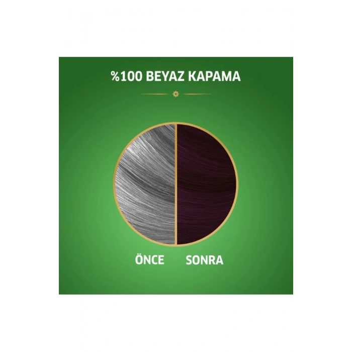 Naturals Saç Boyası Kızıl Kestane 3/66 (599)