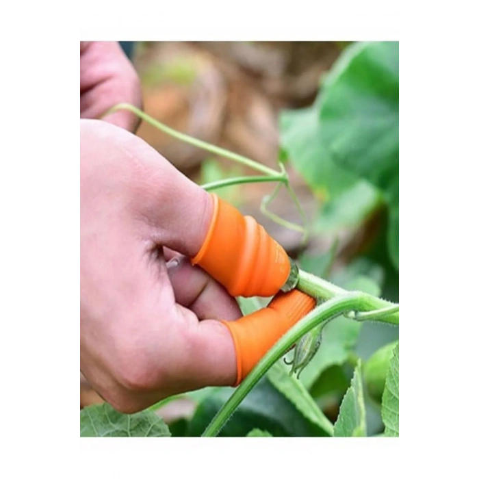 Pratik Baş Parmak Sebze Kesme Ayıklayıcı1277 (599)