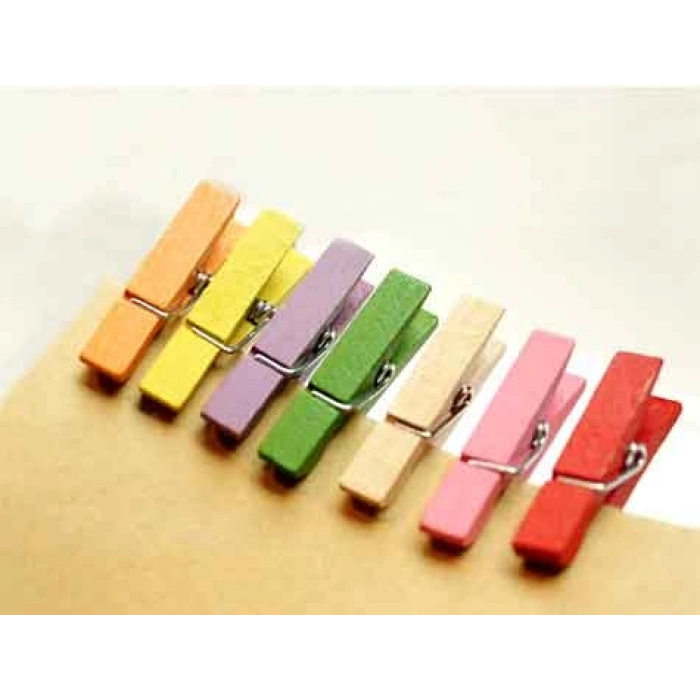 Renkli Mini Ahşap Mandal (100 Adet) (599)