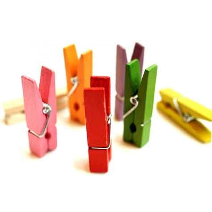 Renkli Mini Ahşap Mandal (100 Adet) (599)