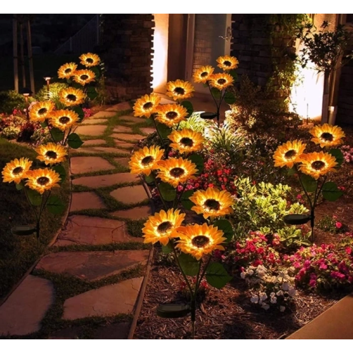 Solar Çiçek 2’li Paket