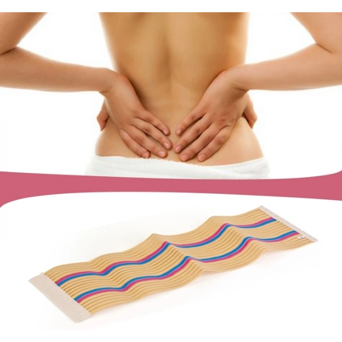 Waist Trimmer Renkli - XL (599)