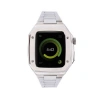 Apple Watch 44mm Metal Petek Kasalı Kordon - Gümüş