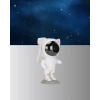 Astronot Yıldız Projeksiyon Lambası 8 Efektli Uzaktan Kumandalı Gece Işığı