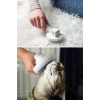 Basmalı Kedi Köpek Tüy Toparlayıcı Masaj Etkili Pet Fırçası