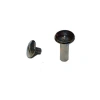 Cilt Menü, Katalog, Kartela Vidası, 6 Mm - Nikel, 1 Adet