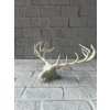 Dekoratif Geyik Başı Heykel 25 Cm Modern Minimal Tasarım