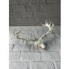 Dekoratif Geyik Başı Heykel 25 Cm Modern Minimal Tasarım