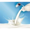 İnek Tasarımlı Sevimli Cam Suluk  Süt Şişesi 1000 Ml (599)